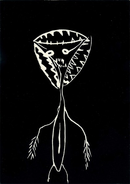 Fangschrecke_Schwarz